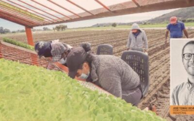 Diario Financiero: Salta el empleo informal entre migrantes en últimos años: la mayoría se va a la agricultura y ganadería